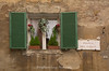 Windows : Windows from around the globe - shops, temples, mosques, churches and houses.